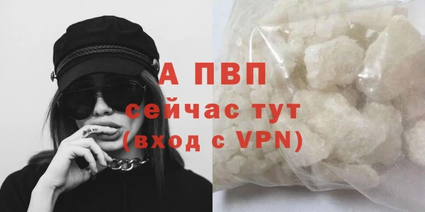 индика Вязники