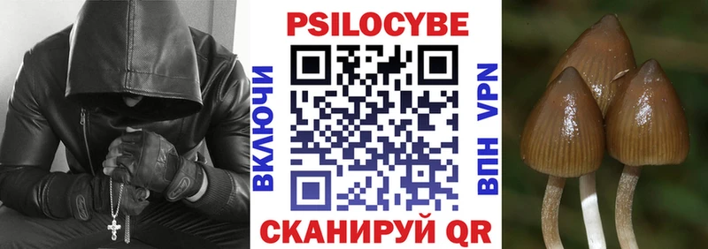 где найти   Зубцов  Галлюциногенные грибы Magic Shrooms 